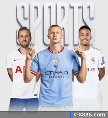 平台简介 - 体育资讯内容服务 | VSPORT